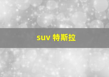 suv 特斯拉